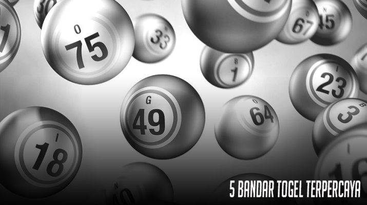 5 Bandar Togel Terpercaya